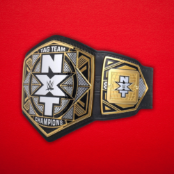 WWE NXT- Tag Team Championship Title Belt