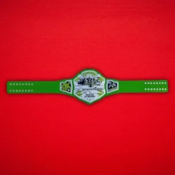 WWF D-generation X Championship Belt Replica