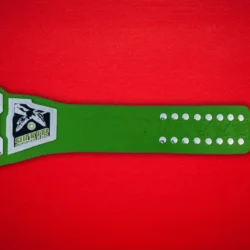 WWF D-generation X Championship Belt Replica