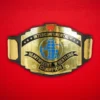 WWF Intercontinental Championship Replica Title Belt