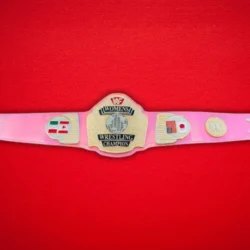 WWF Women Wrestling Championship Title Belt