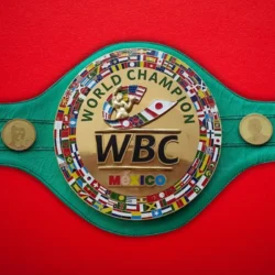 Wbc Money Belt Fight Mayweather Mcgregor Boxing Championship Belt