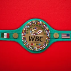 Wbc Money Belt Fight Mayweather Mcgregor Boxing Championship Belt