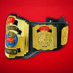 Wcw World Television Championship Wrestling Title Belt