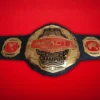 World Impact Heavyweight Wrestling Championship Replica Belt